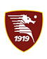 Logo US Salernitana club partner ISM